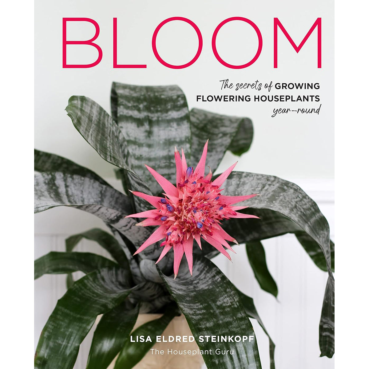 Bloom: Secrets of Growing Flowering Houseplants Year-Round