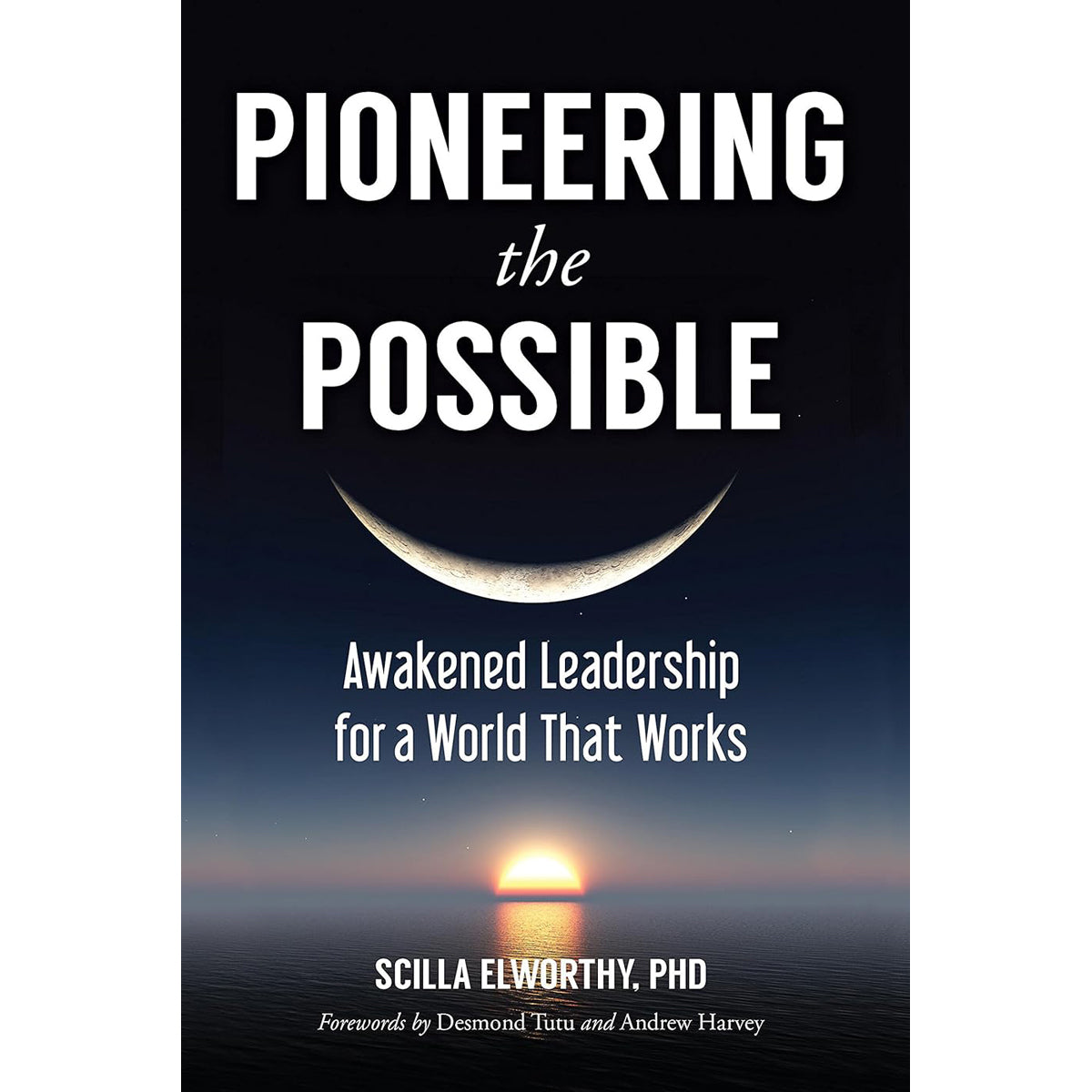 Pioneering the Possible: Awakened Leadership