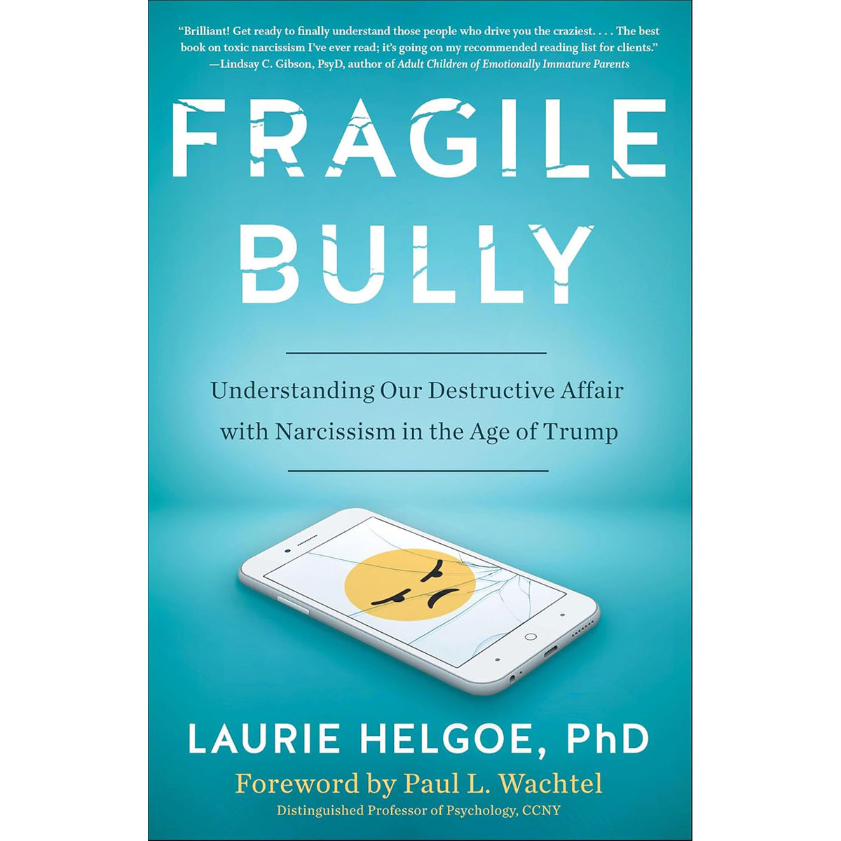 Fragile Bully: Understanding Our Destructive Affair