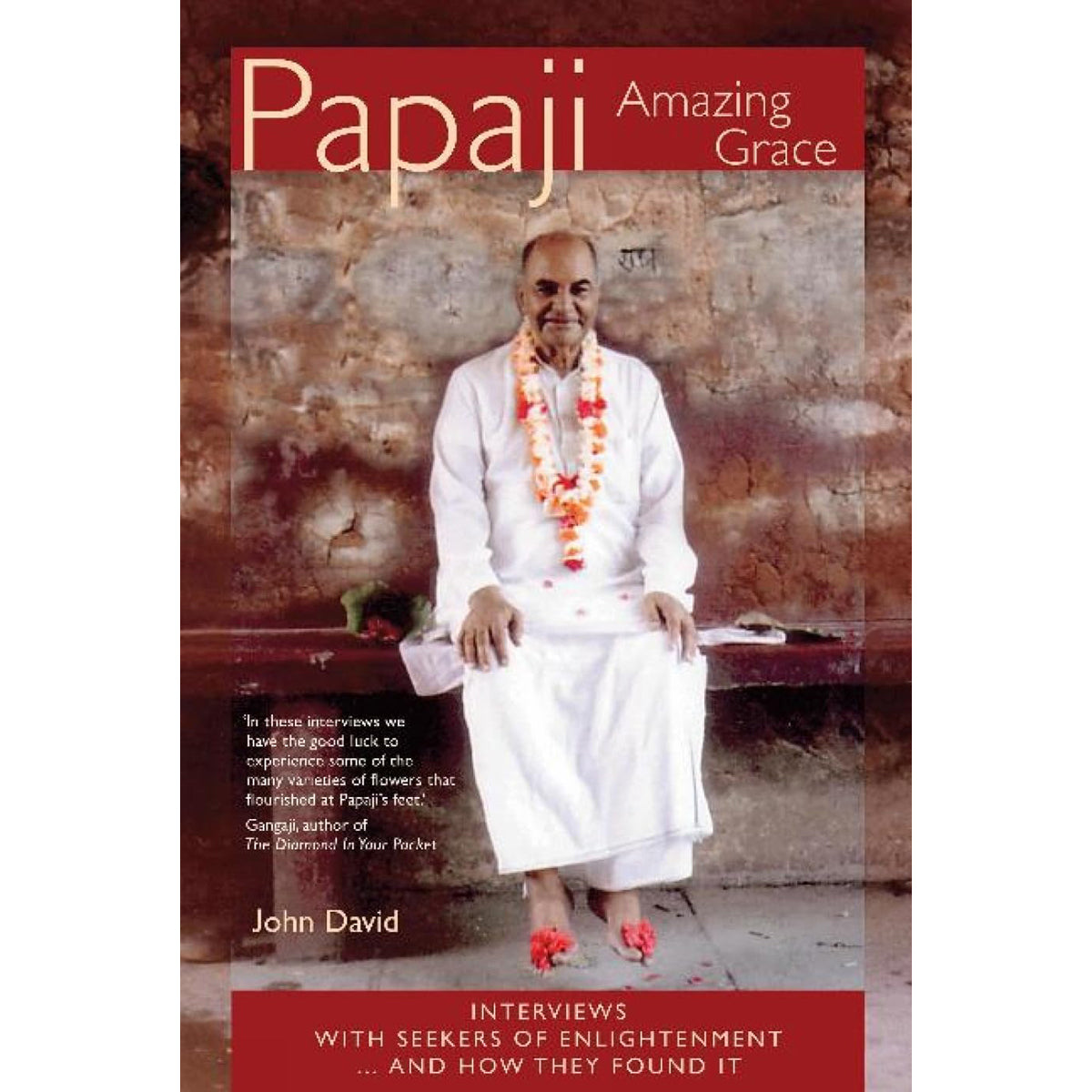 Papaji Amazing Grace: Interviews with Enlightenment Seekers