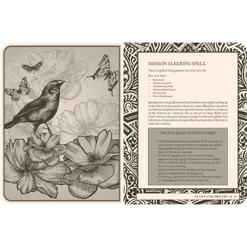 Lost Book of Spells Journal
