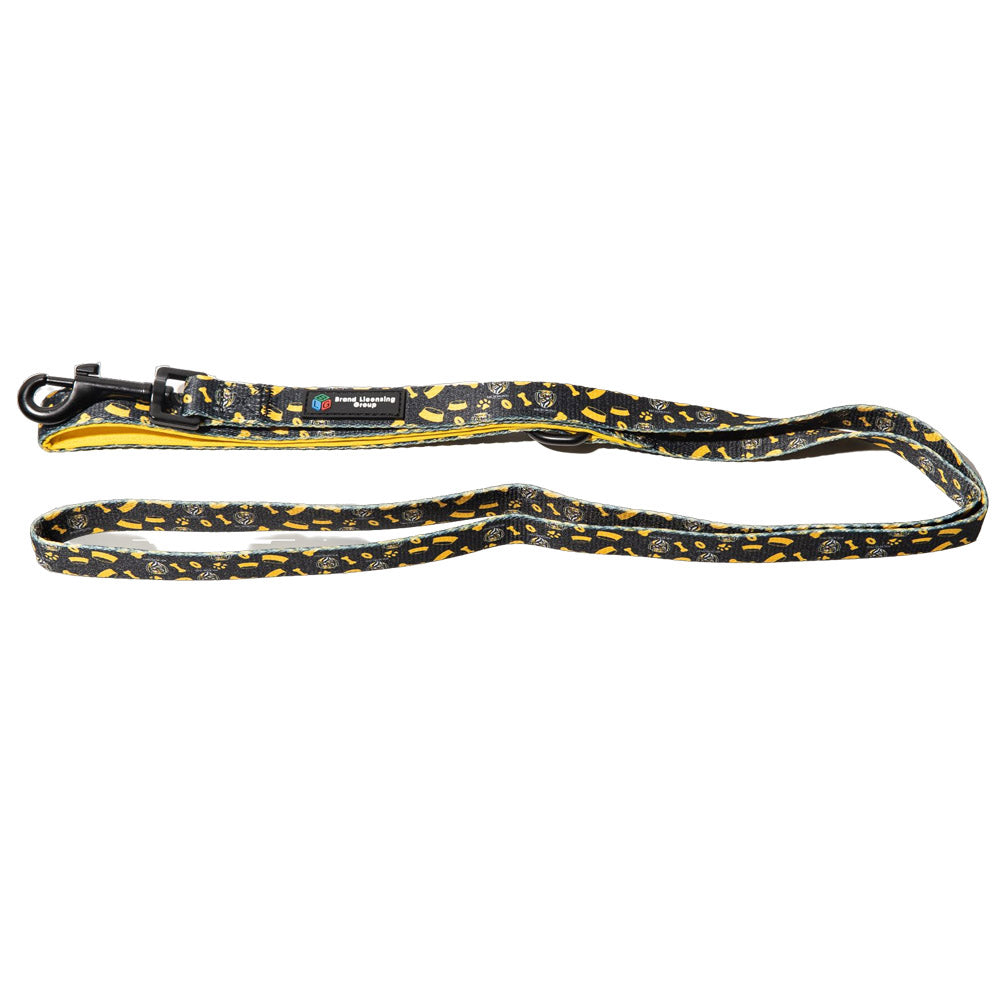 AFL Pet Lead