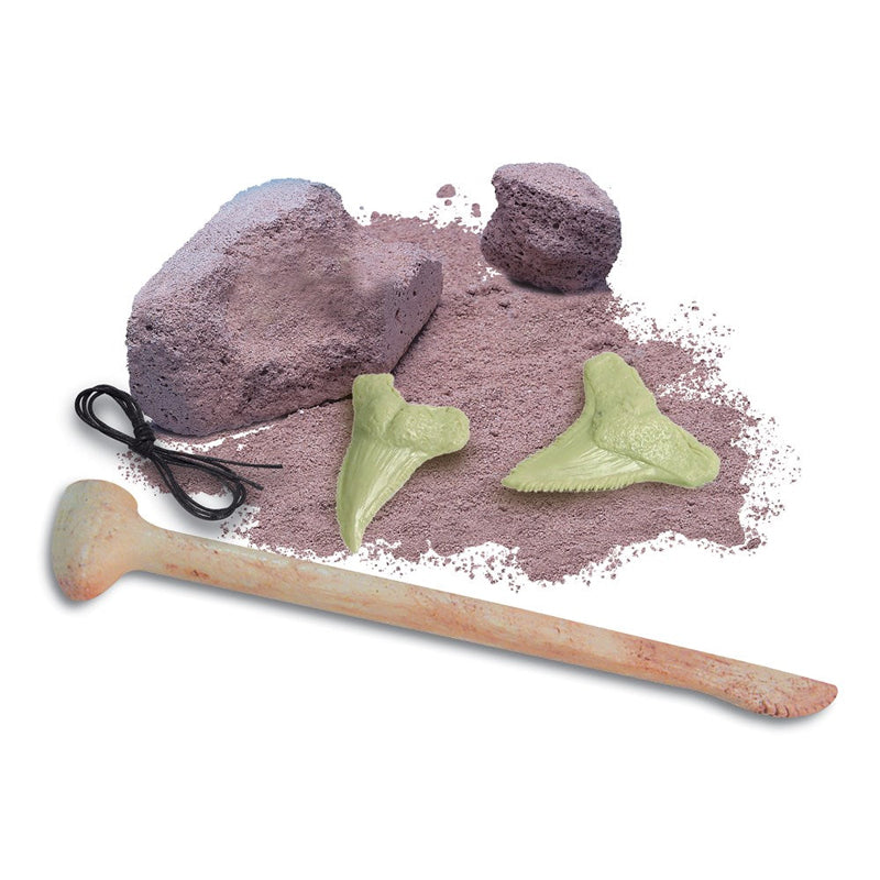 4M KidzLabs Shark Tooth Fossil