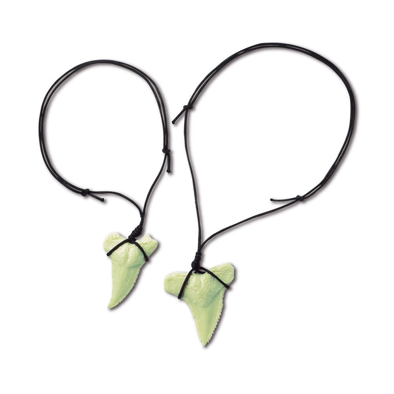 4M KidzLabs Shark Tooth Fossil