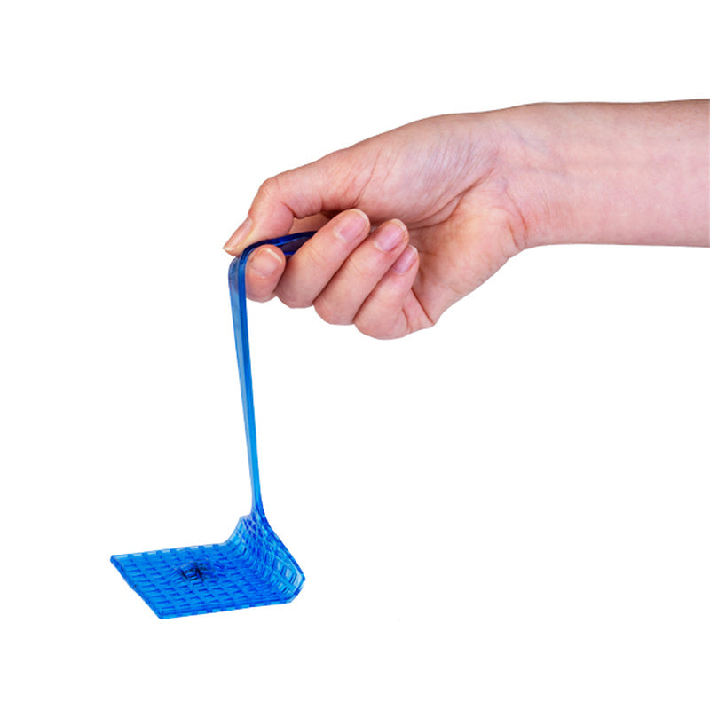 Sticky Fly Swatter Toy
