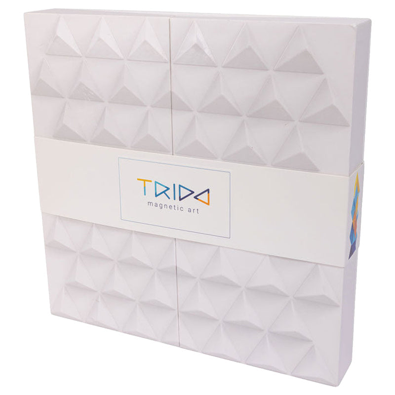 Trido Sky Magnetic Construction Kit